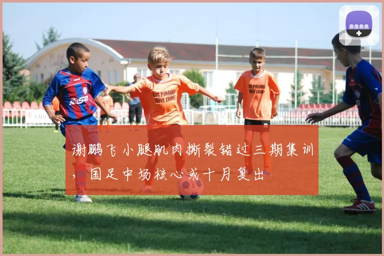 谢鹏飞小腿肌肉撕裂错过三期集训,国足中场核心或十月复出