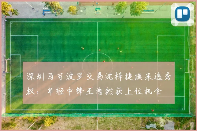 深圳马可波罗交易沈梓捷换来选秀权,年轻中锋王浩然获上位机会